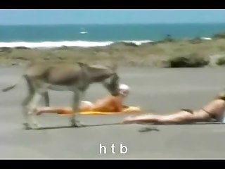 Homem filmes sexo videos adultos amadores com quente mulato
